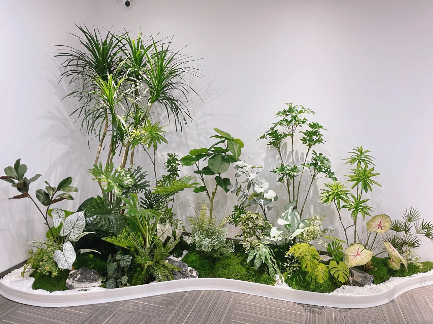 专业服务，宁波奉化植物租赁点亮你的世界